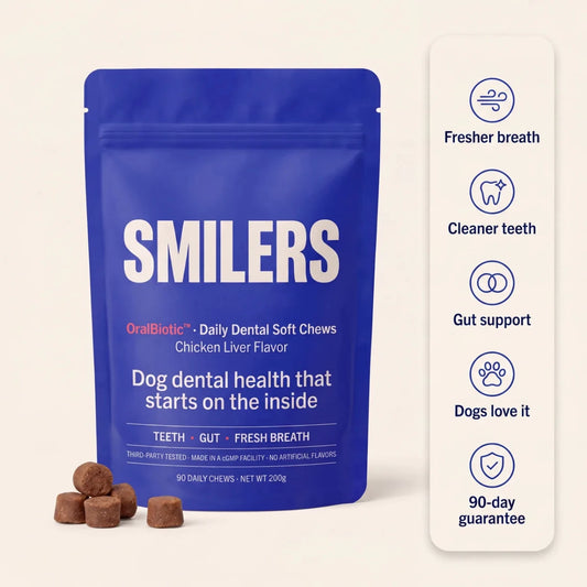 Smilers OralBiotic dental soft chews for dogs, cobalt pouch with five key benefits including fresh breath and cleaner teeth