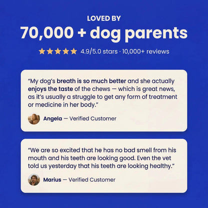 Smilers customer reviews from verified dog parents praising fresher breath, better taste, and visibly healthier teeth

